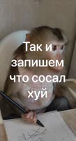17490598981470.mp4