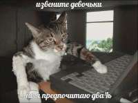 .webp