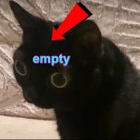 empty.jpg