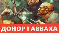 17334135472940.webp