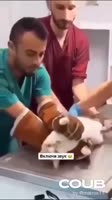 5gabcdjgs0f0d10m0270x480.mp4