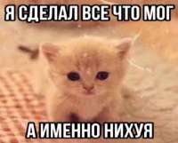 17501696987582.jpg