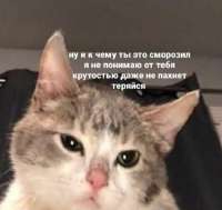 00000.jpg