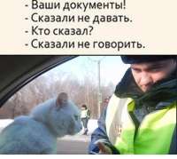 1750636917693.jpg