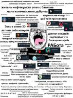 .jpg
