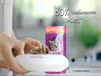 whiskas2011.mp4