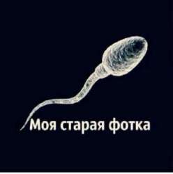 97214f9cb9548b91700eb873eb7f901c.jpg