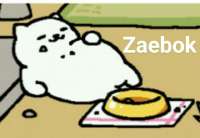 zebok.jpg