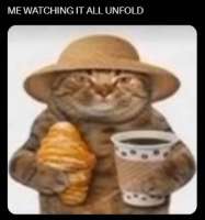 1721375281350.jpg
