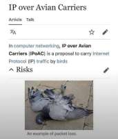 1753655461465.jpg
