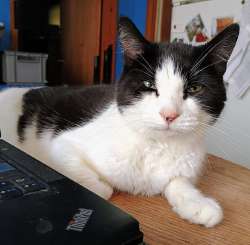 my-mina-i-think-she-would-prefer-i-was-done-with-my-v0-fsg94z042pcf1.jpeg