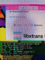 175385014192791758.jpg