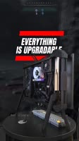 175456322205026030.mp4