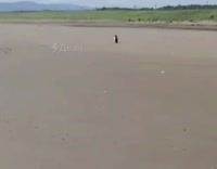@ru2chWR.mp4