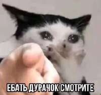 17522549795740.png