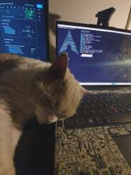mister-cat-took-my-spot-v0-ir3wydjwq8kf1.webp