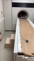 mrt.mp4