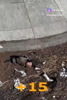 17320237061740.mp4