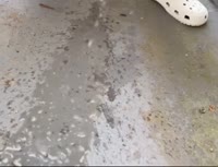 175746530909192605.mp4