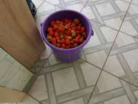 IMG20250614142338 — копия.jpg