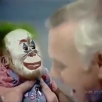 17500848509200.mp4