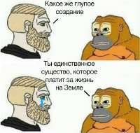 162462586915479523.jpg