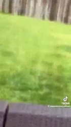 videoplayback.mp4