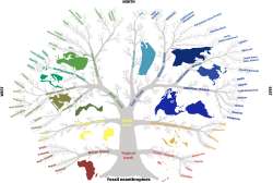 en56-anthropological-human-types04.jpg
