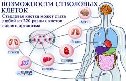 Бессмертие1.png