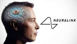 neuralink.jpg
