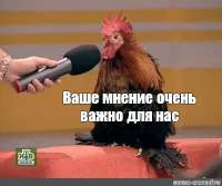 vashe-mnenie-ochen-vazhno-dlya-nas.jpeg