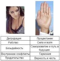 174681233044113027.png