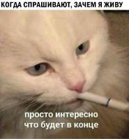 17624846009930.jpg