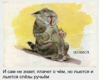 IMG20250201173705801.jpg