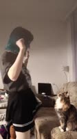Танцы с котом.mp4