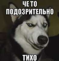 IMG1148.webp