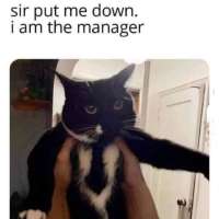 17239114623000.jpg
