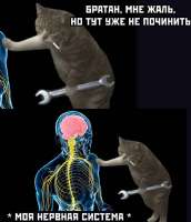 не починить.jpg
