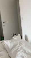 video2025-04-3004-50-57.mp4