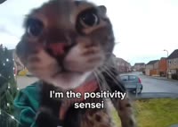 positivity.mp4