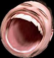 omegalul.png