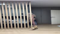 IMG2745.mov