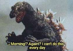morning.jpg