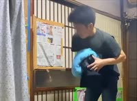 17478358382250.mp4