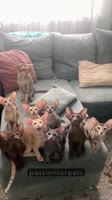 ssstwitter.com1747862874739.mp4