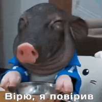 h6d.gif