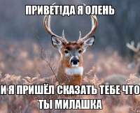 IMG-20240917-WA0000.jpg