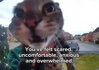positivity.mp4