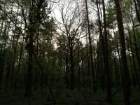 IMG20220513200254.jpg