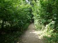 IMG20220813150325.jpg